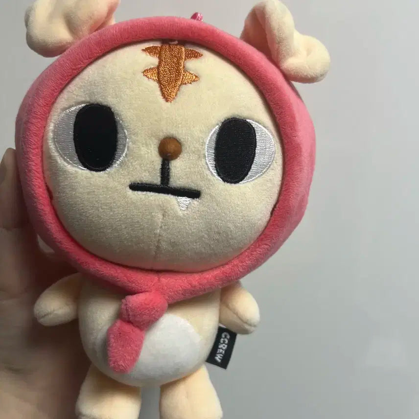크래비티 정모 크크루 랑모