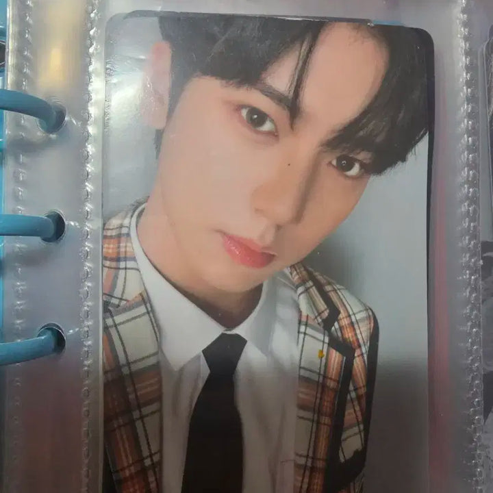 제배원 스쿨룩스 양도