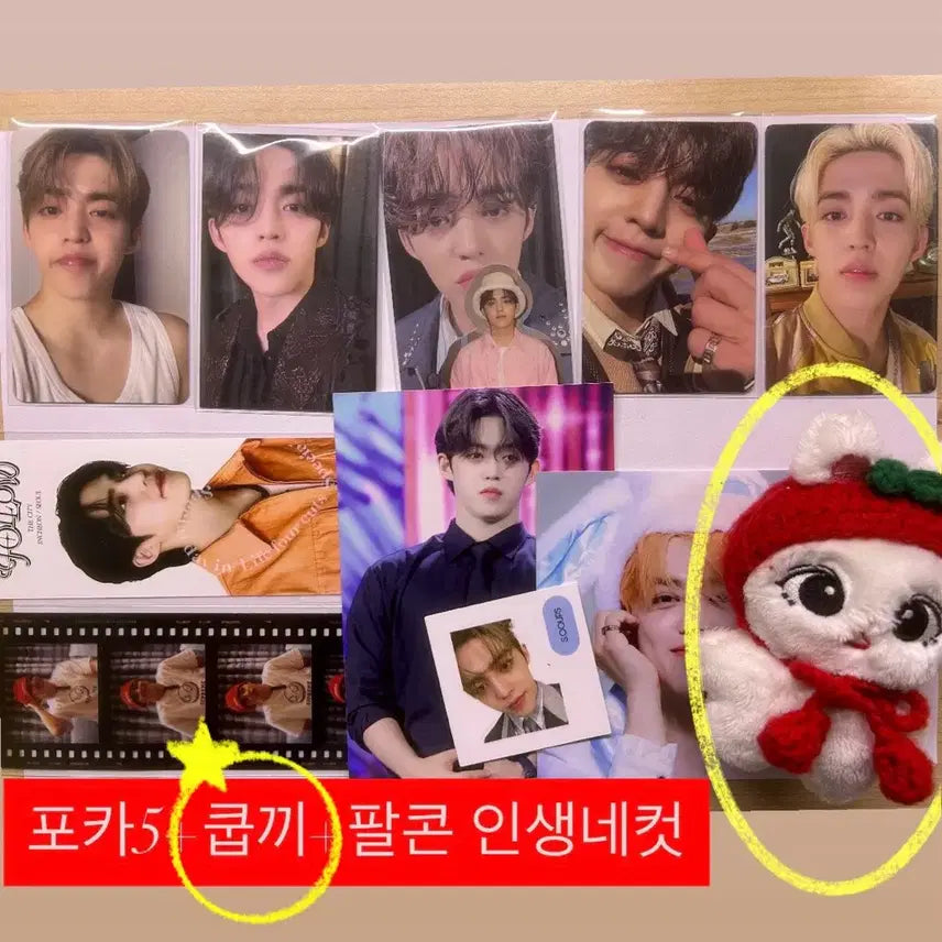 탈덕처분)세븐틴 에스쿱스 쿱끼인형+포카