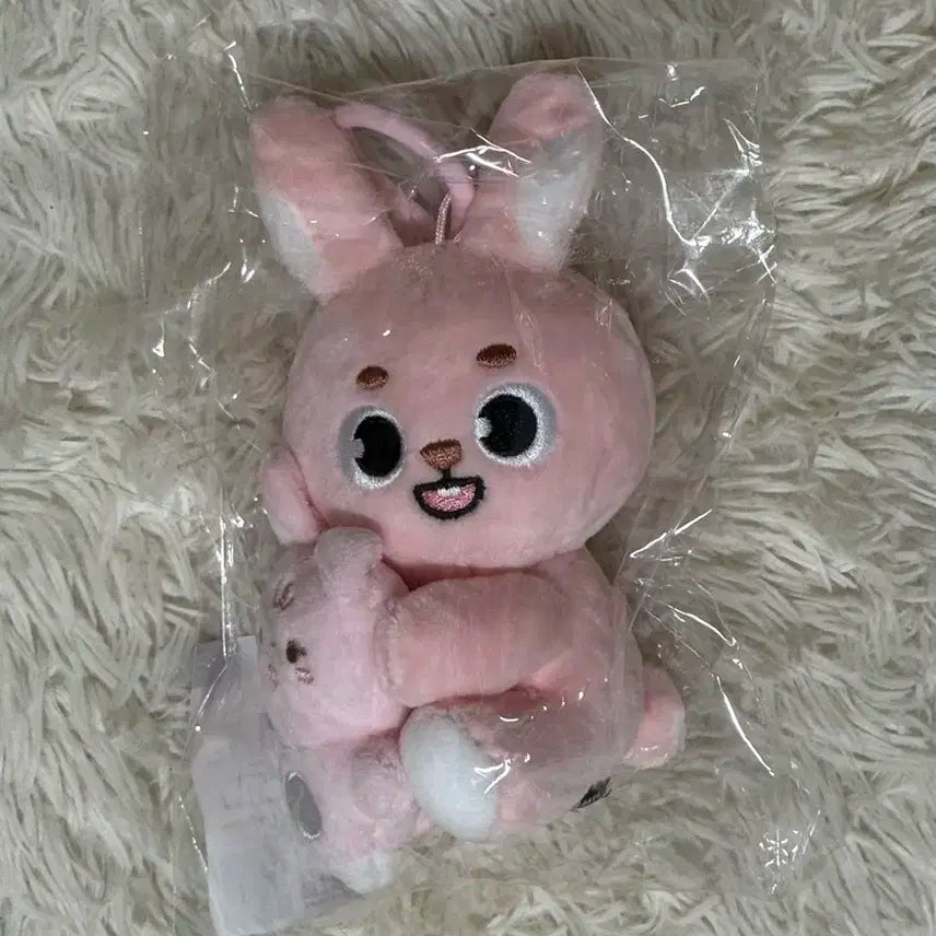 데이식스 마그넷 플러시 세트 pil 필 나안아 인형 양도