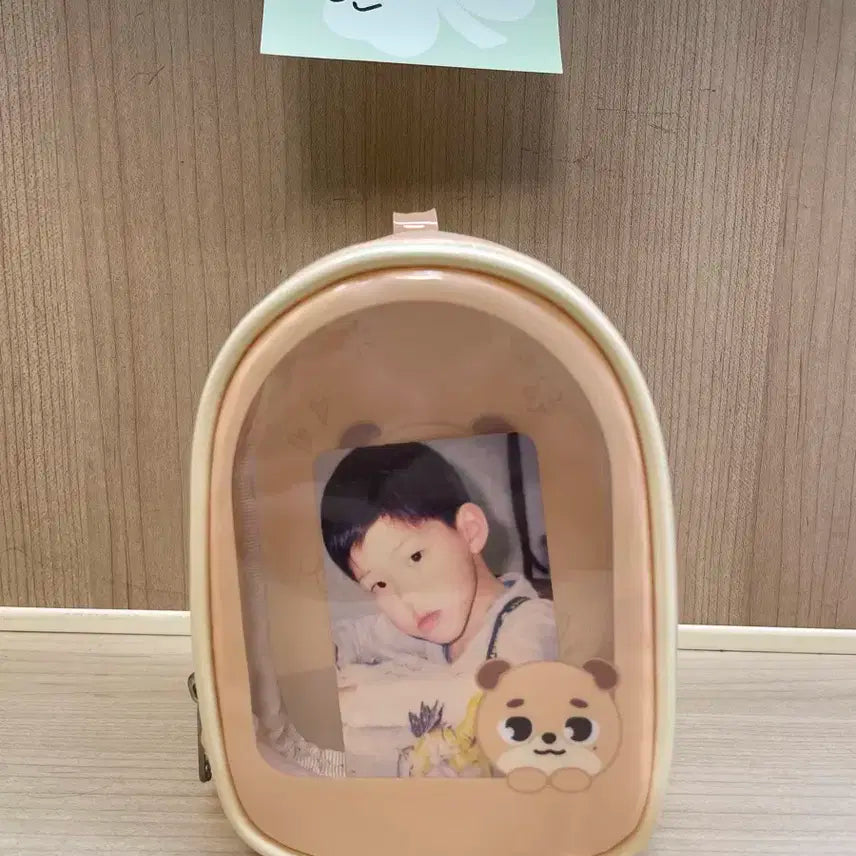 데이식스 데니멀즈 돈 투명 플러쉬 파우치