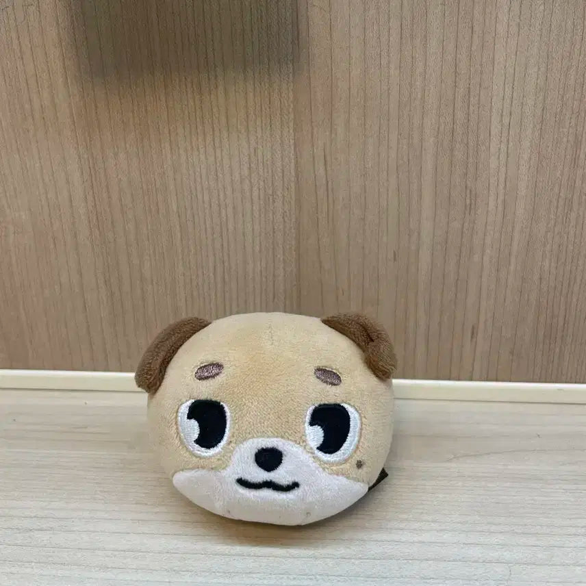 데이식스 데니멀즈 돈 스트레스볼 원가양도