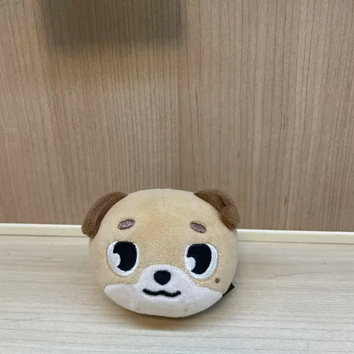 데이식스 데니멀즈 돈 스트레스볼 원가양도
