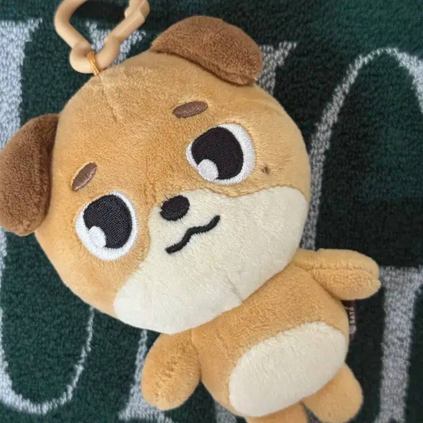 데니멀즈 24 돈이 데이식스 인형