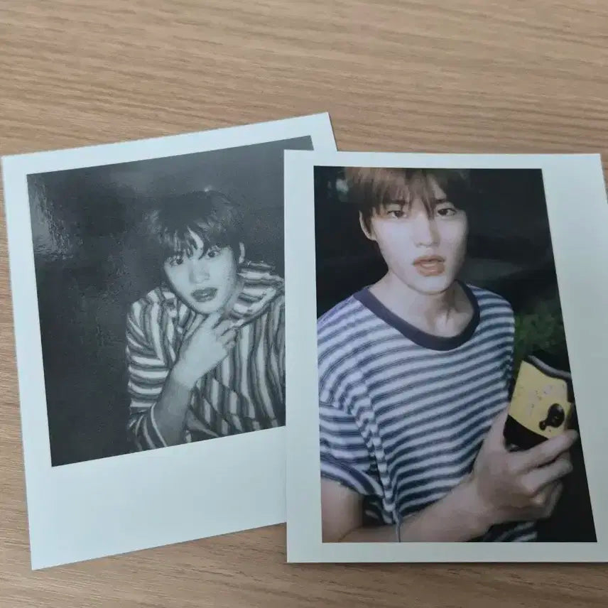 라이즈 소희 폴라 일괄 판매