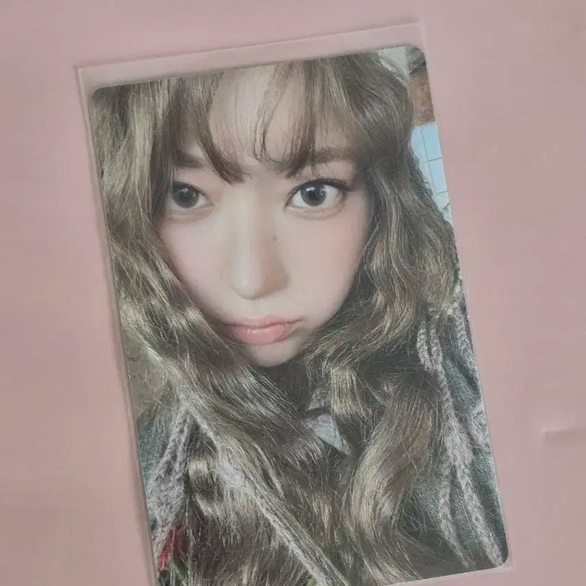 르세라핌 사쿠라 포카