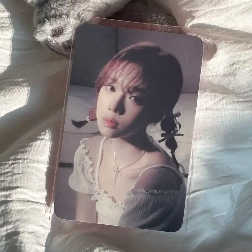 급처)2024시그 윈터특전 판매