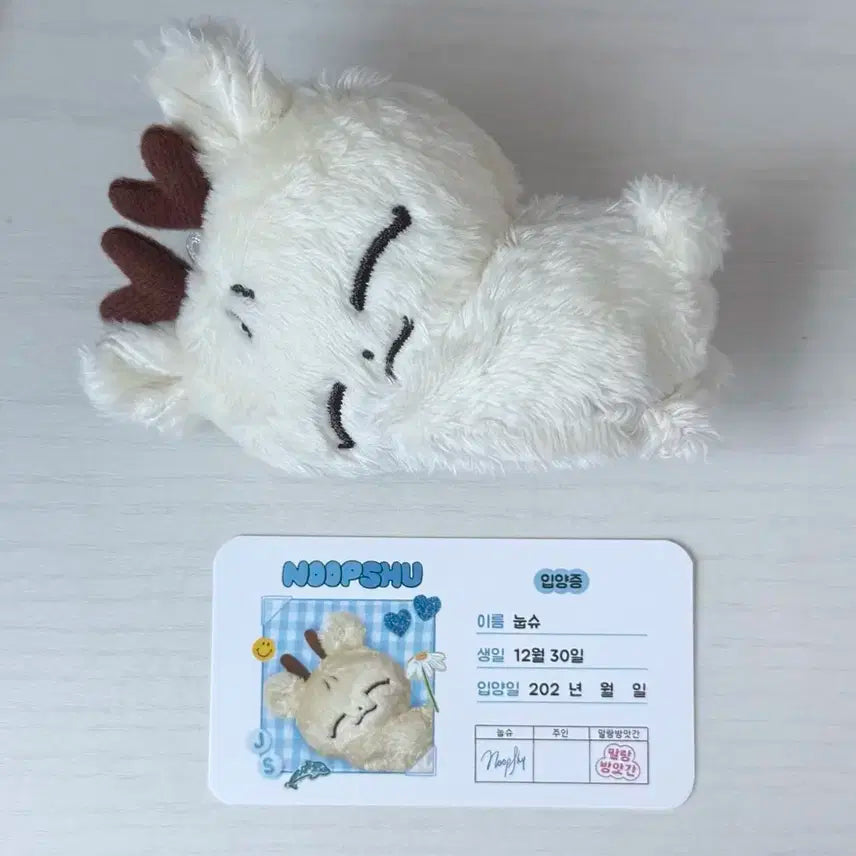 세븐틴 조슈아 인형 눕슈 양도