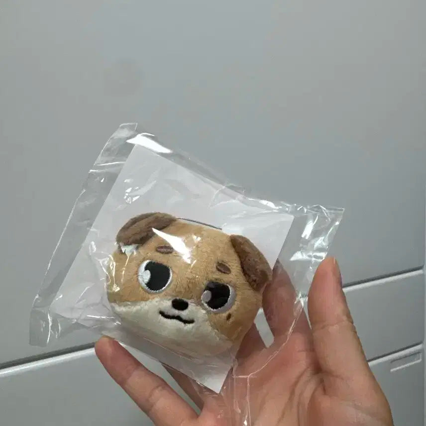 데니멀즈 일본 엠디 소프트 뱃지 돈 데이식스 도운
