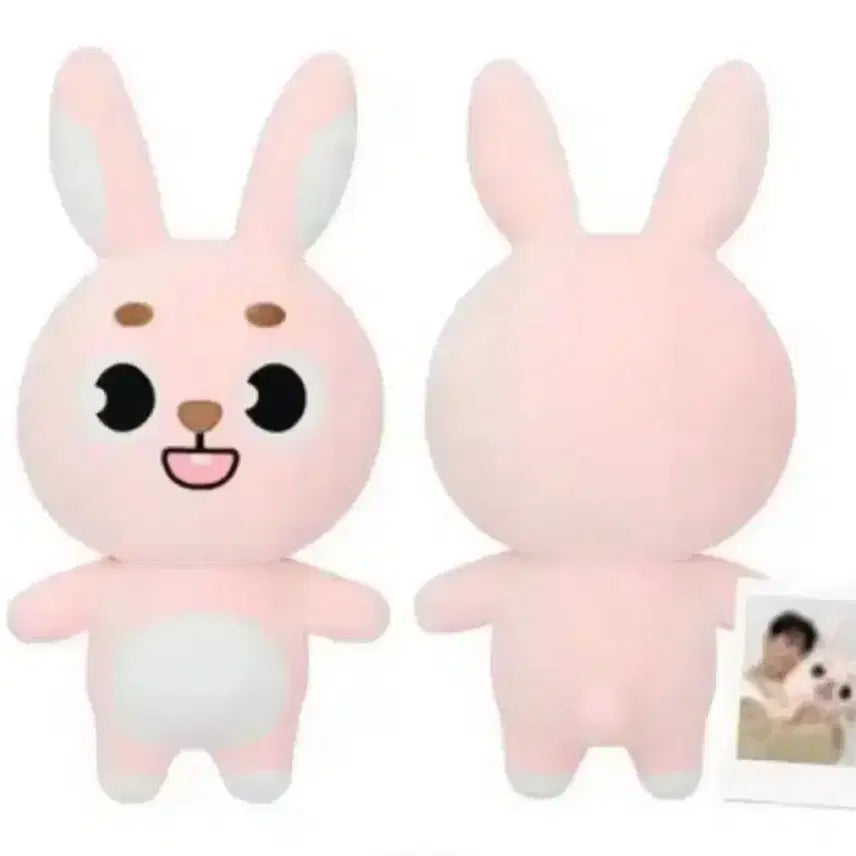 자이언트 데니멀즈 필끼 양도합니다