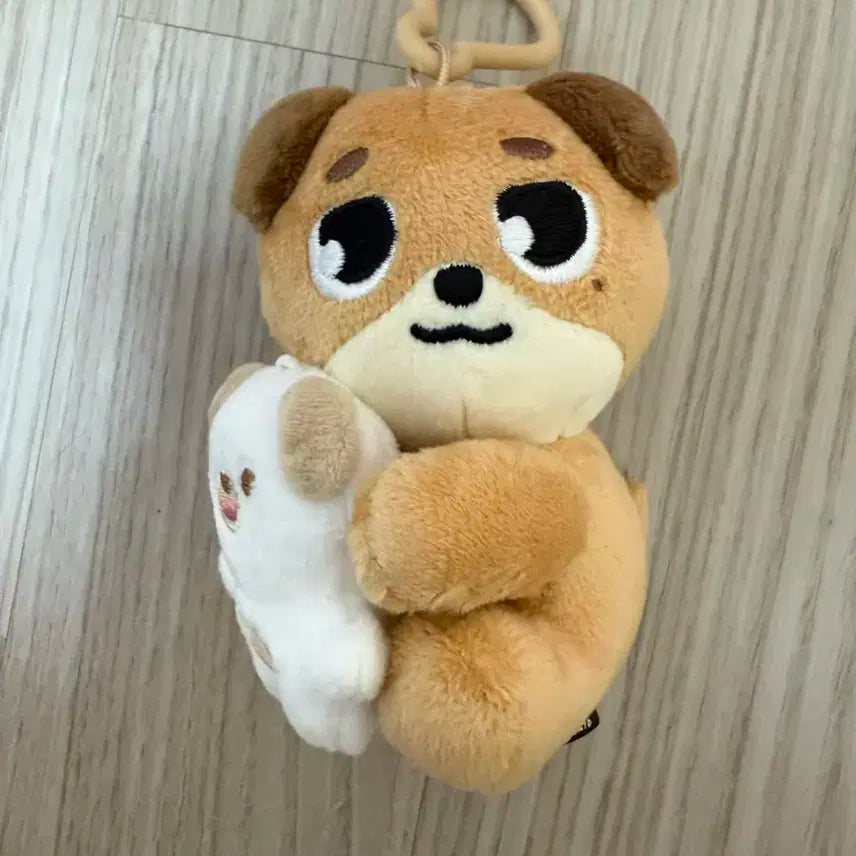 데이식스 데니멀즈 도운 돈