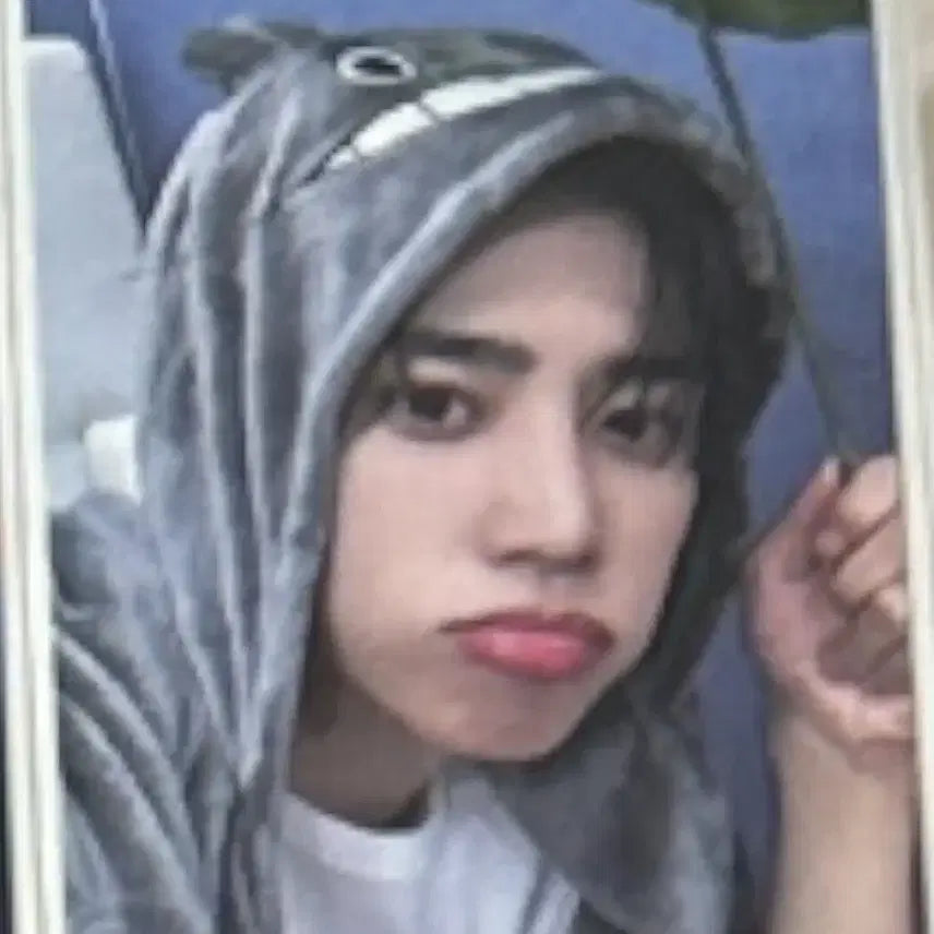 더보이즈 선우 토토로 포카