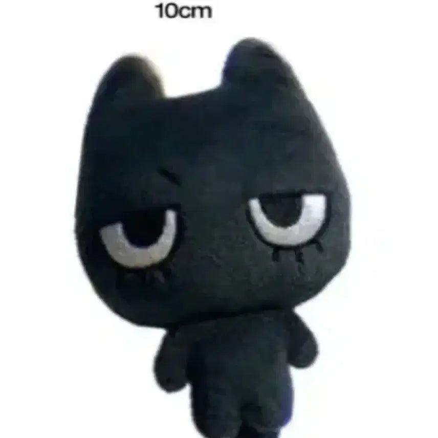 보이넥스트도어 태산 인형 태냐코 10cm 양도
