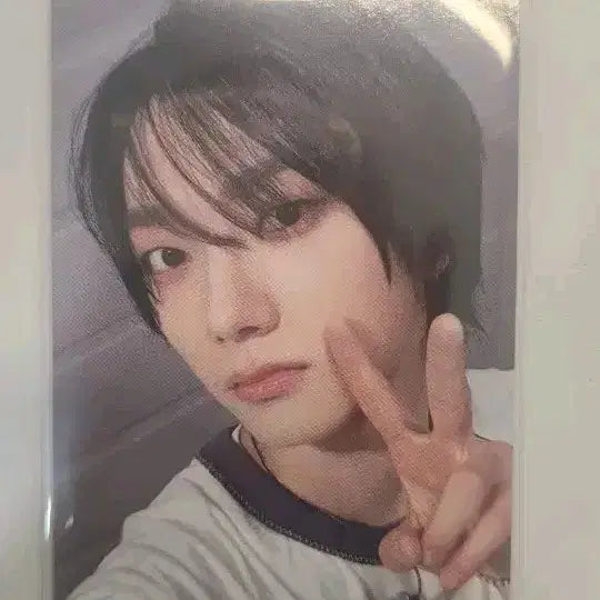 성호 how 팝업카페 포카 포토카드