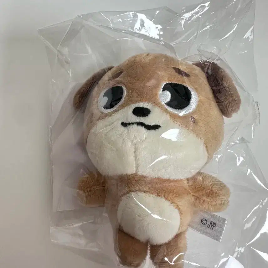 데이식스 데니멀즈 일본 백참 돈 미개봉 새상품