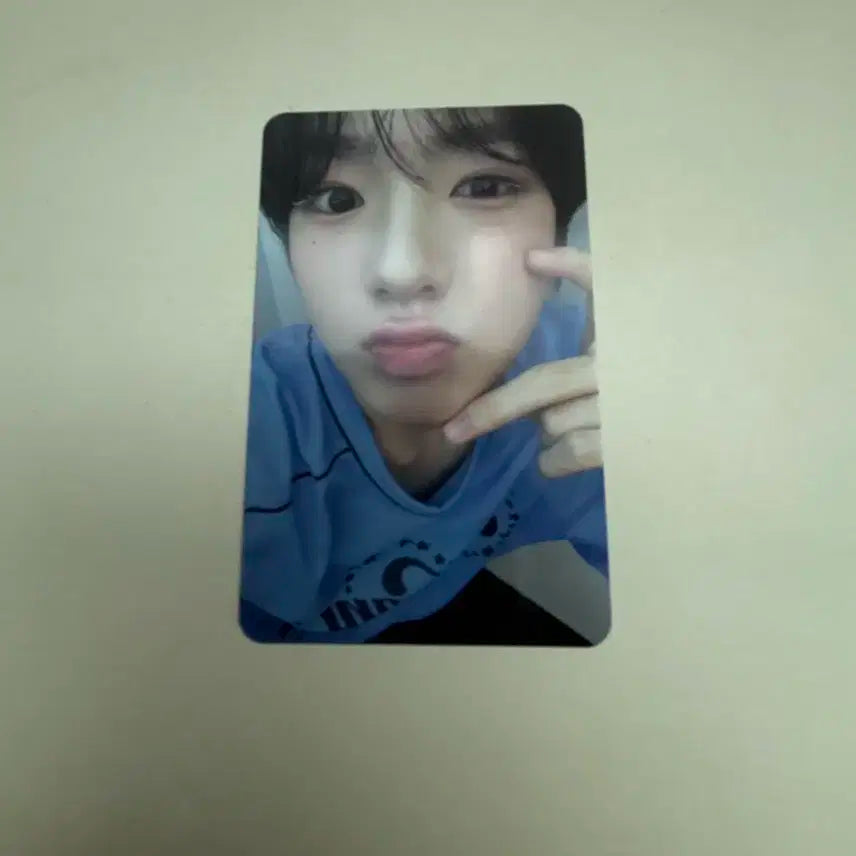 사쿠야poppop앨범포카