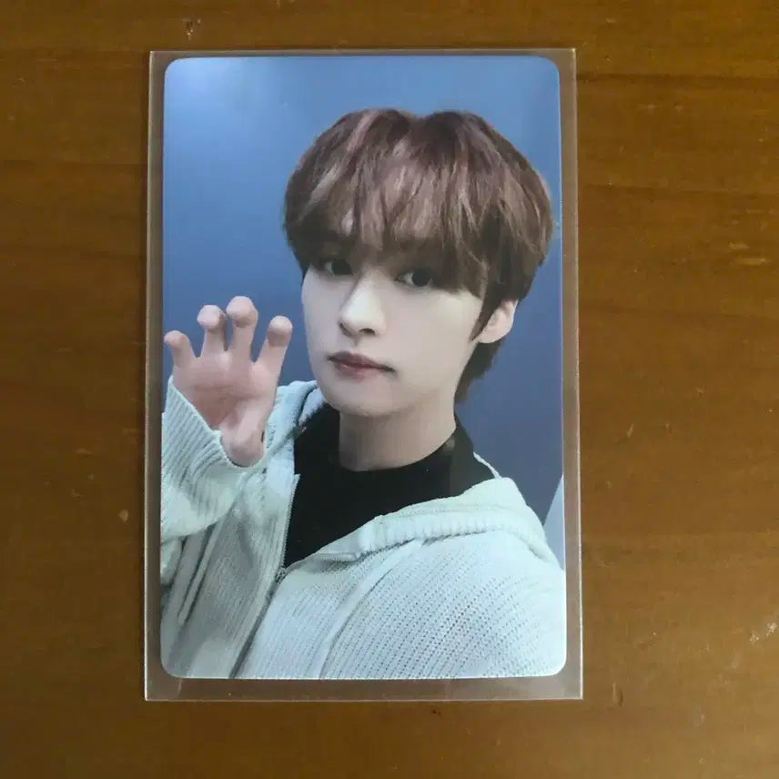 스키즈 스트레이키즈 리노 특 파이브스타 이즈위 포카 양도 미공포