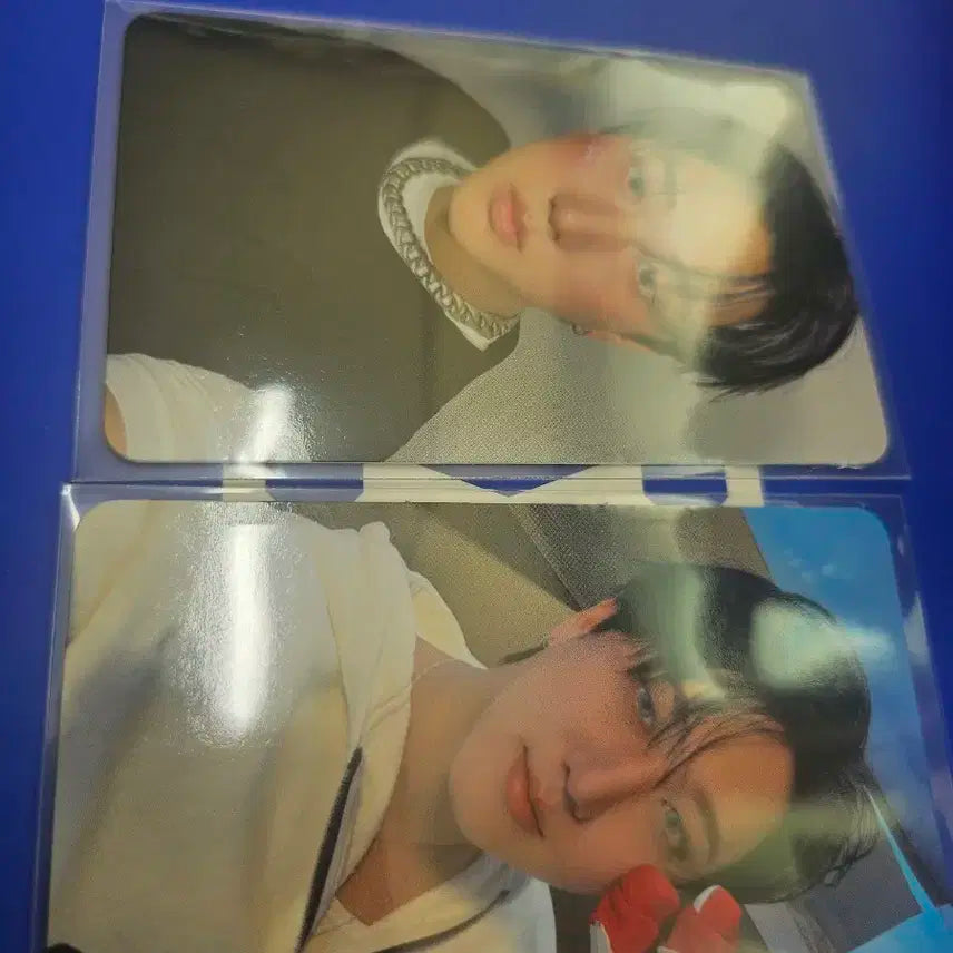 스키즈 카르마 창빈 앨포 일괄