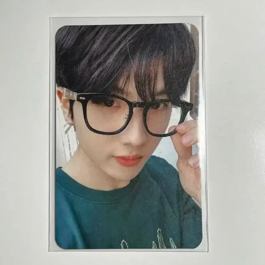 테디 아일랜드 지성 포카