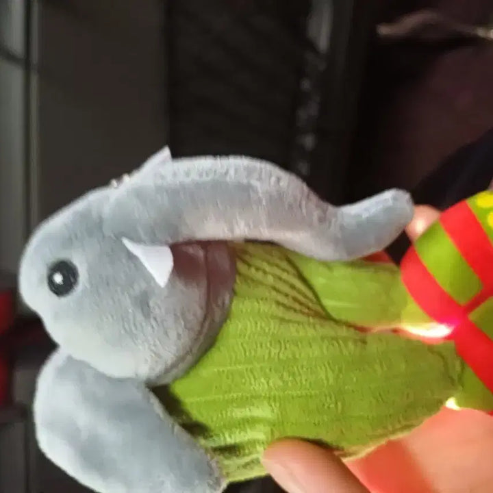 브래일롯 인형