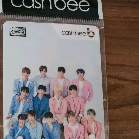 세븐틴 캐시비 교통카드
