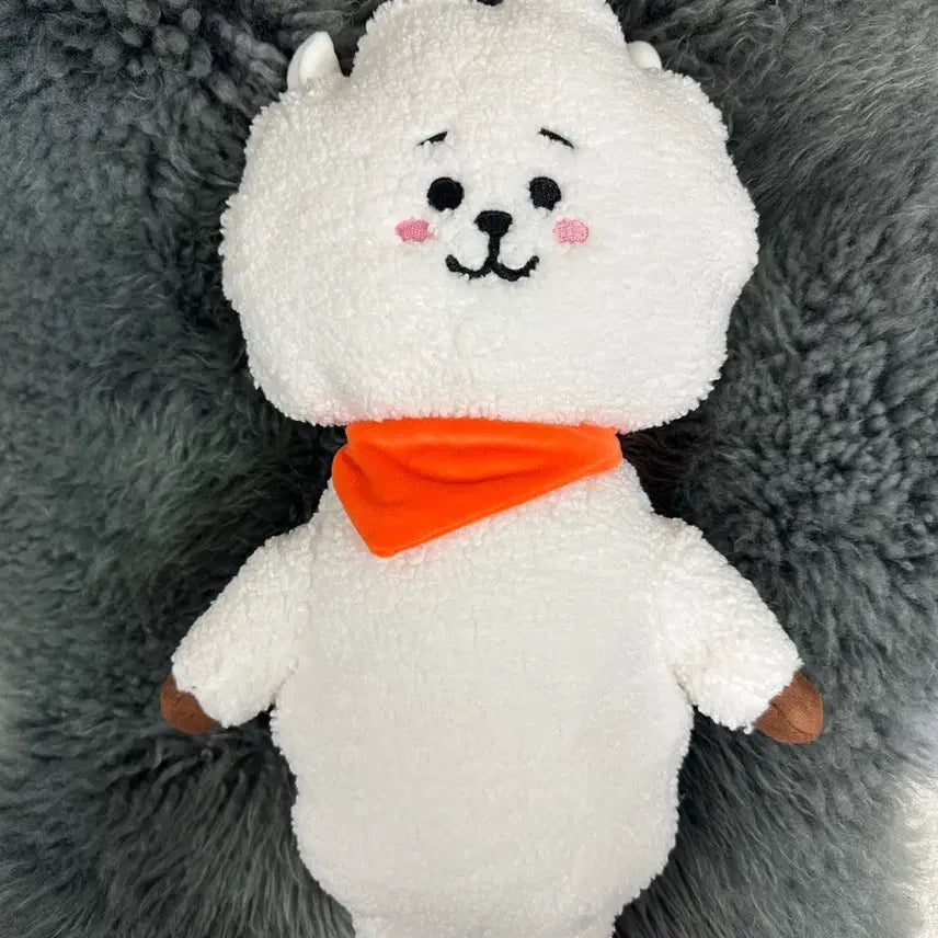 [새 상품] BT21 스탠딩 인형 M Size 리뉴얼 버전_알제이(RJ)