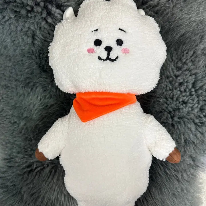 [새 상품] BT21 스탠딩 인형 M Size 리뉴얼 버전_알제이(RJ)