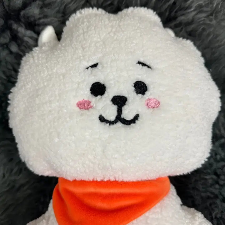 [새 상품] BT21 스탠딩 인형 M Size 리뉴얼 버전_알제이(RJ)