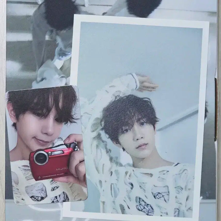 위시 스테디 프시케 앨범 료 풀셋