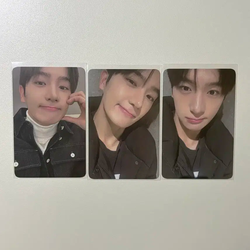 더보이즈 현재 프롬 포카 양도합니다