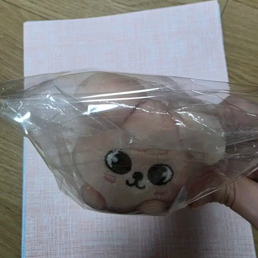 스트레이키즈 퍼핌 일본 백참 승민