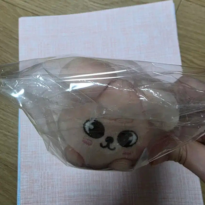스트레이키즈 퍼핌 일본 백참 승민