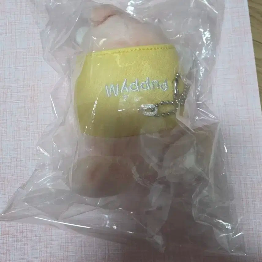 스트레이키즈 퍼핌 일본 백참 승민