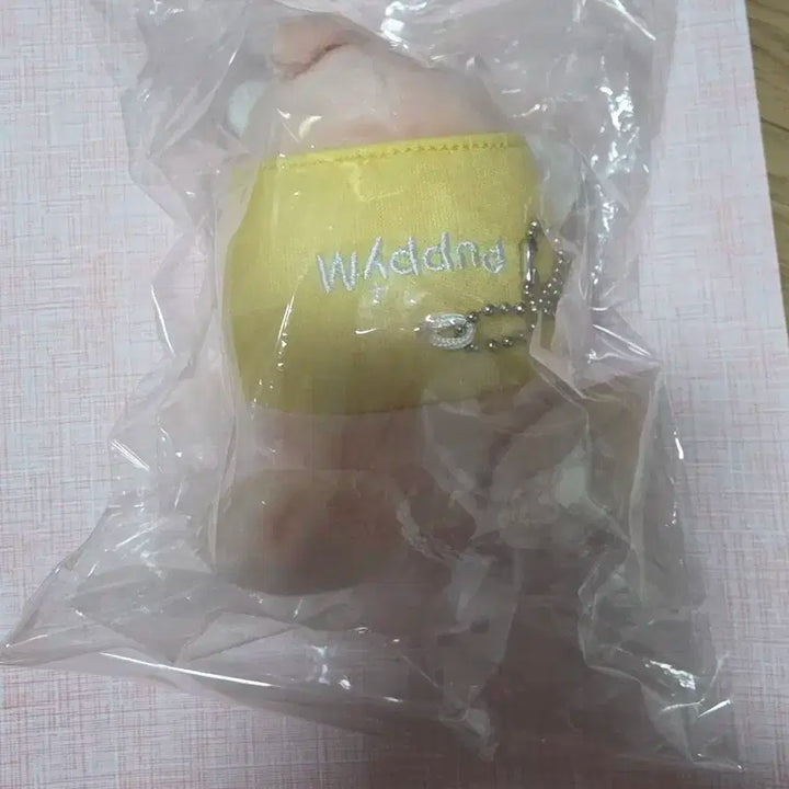 스트레이키즈 퍼핌 일본 백참 승민