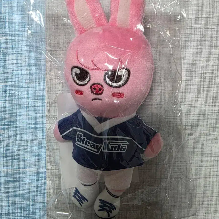 스트레이키즈 일본 돼끼 백참 창빈