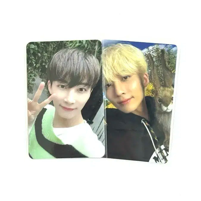 세븐틴 정한 헹가래 디아이콘 포카 일괄