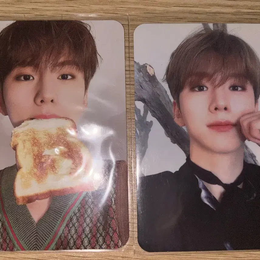 햄포자이, 식빵기현 팔아요