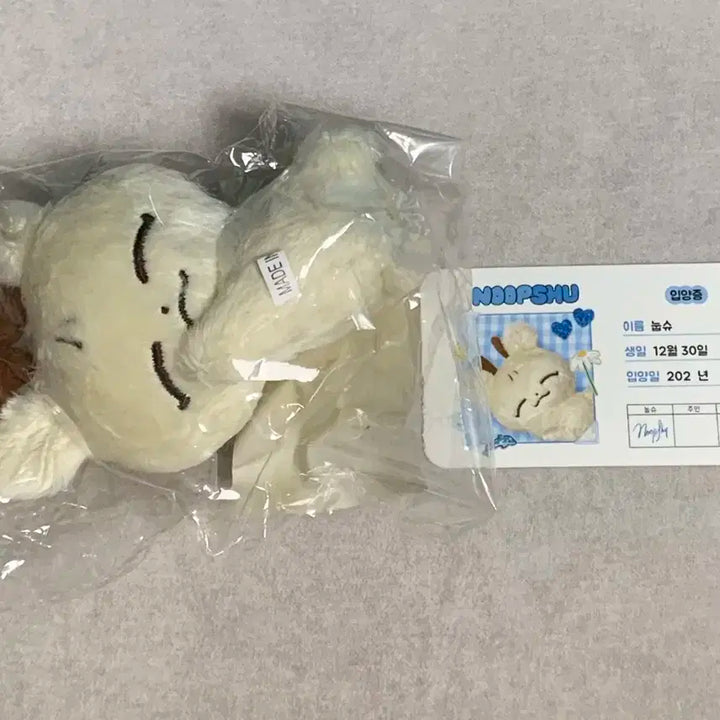 세븐틴 눕쫑 눕슈 미개봉 일괄