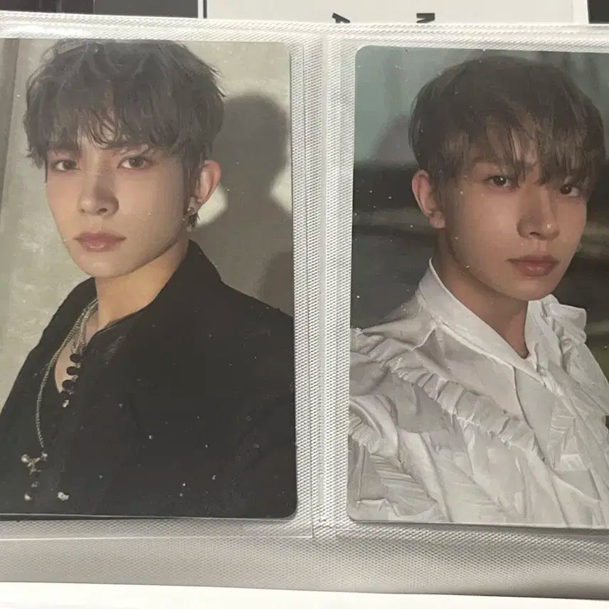 엔하이픈 희승 포카 일괄 다크블러드 급처