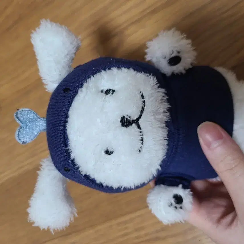 미니 멍꼬