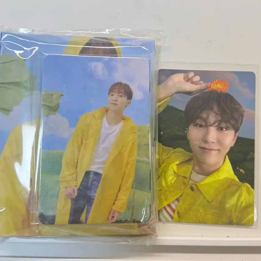 세븐틴 승관 seventeenth heaven 캐럿반 섹터17 포카