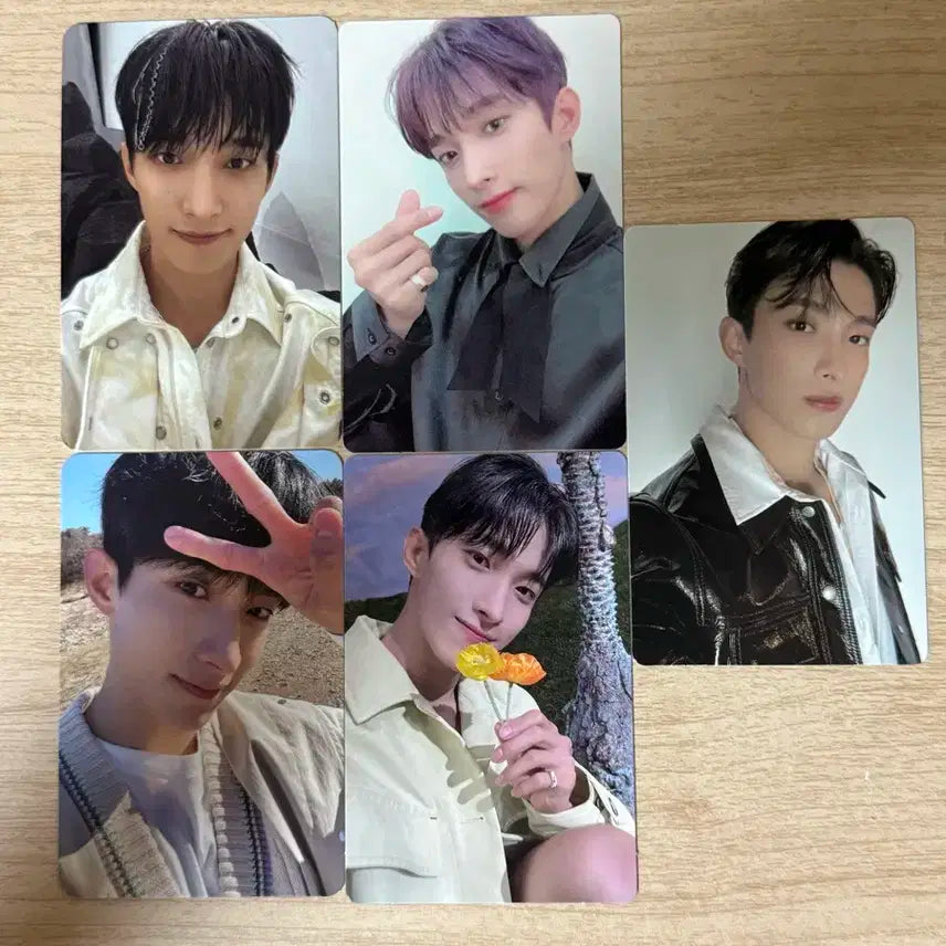 세븐틴 도겸 포카 5장 일괄 판매