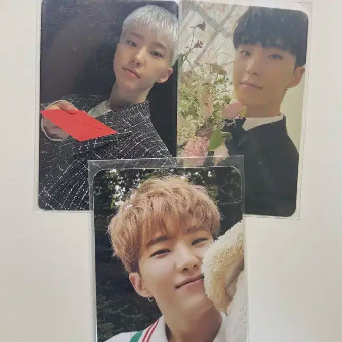세븐틴 호시 포카 일괄 양도