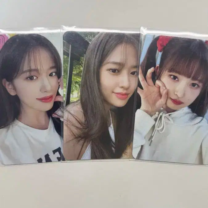 아이브 유진 레이 포카 일괄
