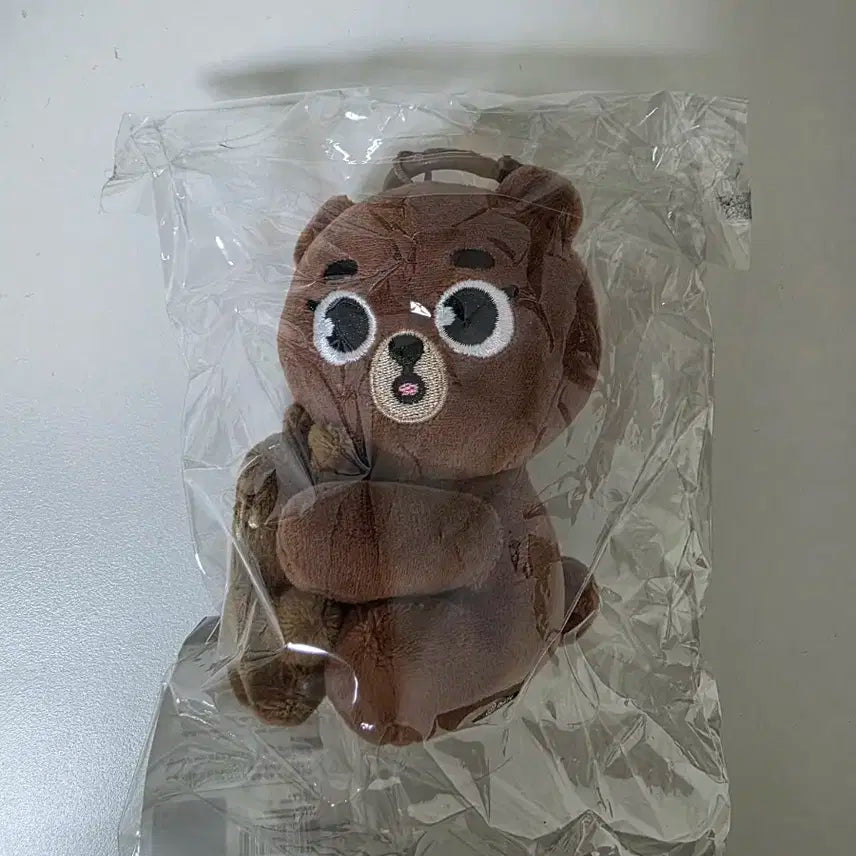 데이식스 방 마그넷 플러시 나 안아 인형