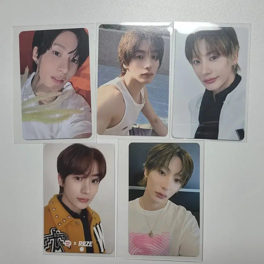 라이즈 앤톤 포카 5장 일괄