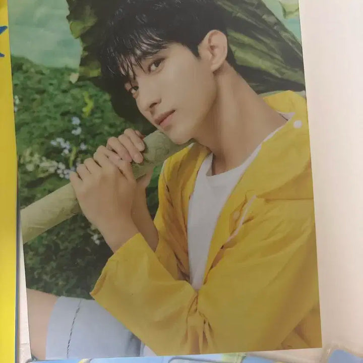 세븐틴 Seventeenth Heaven 캐럿반 앨범 + 포카