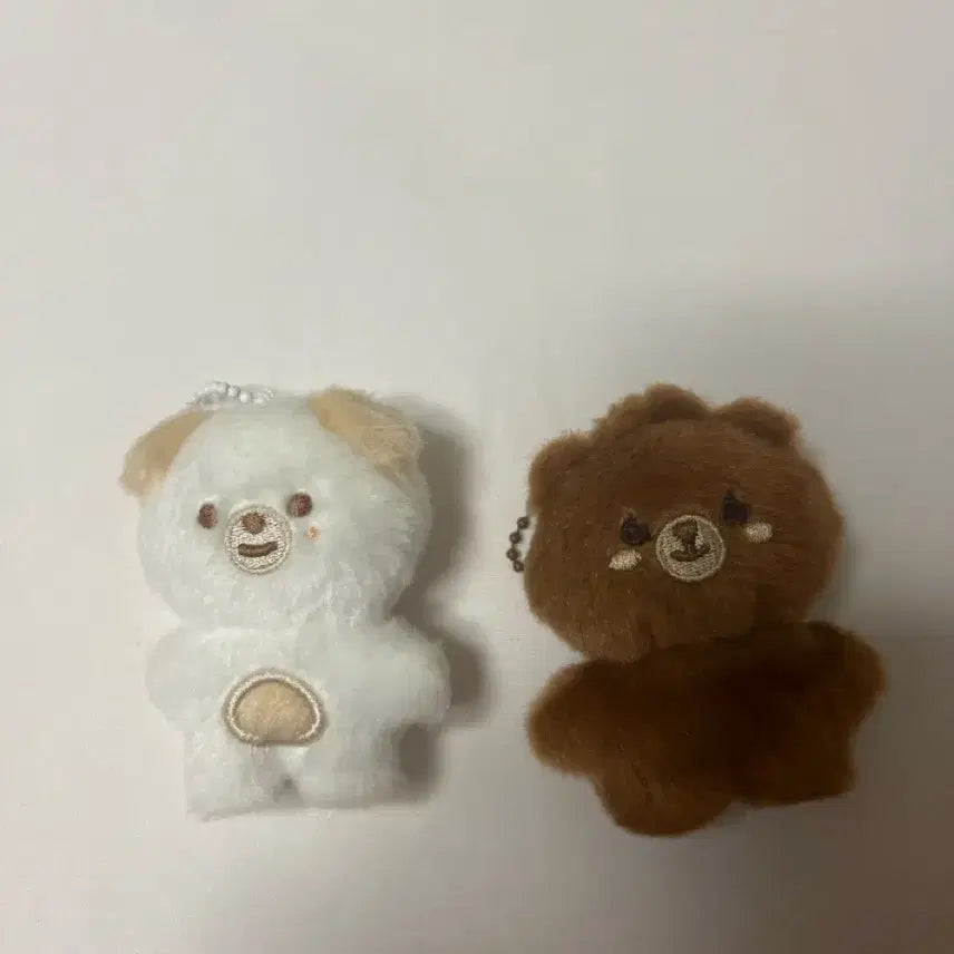 데이식스 쁘디멀즈 돈,방