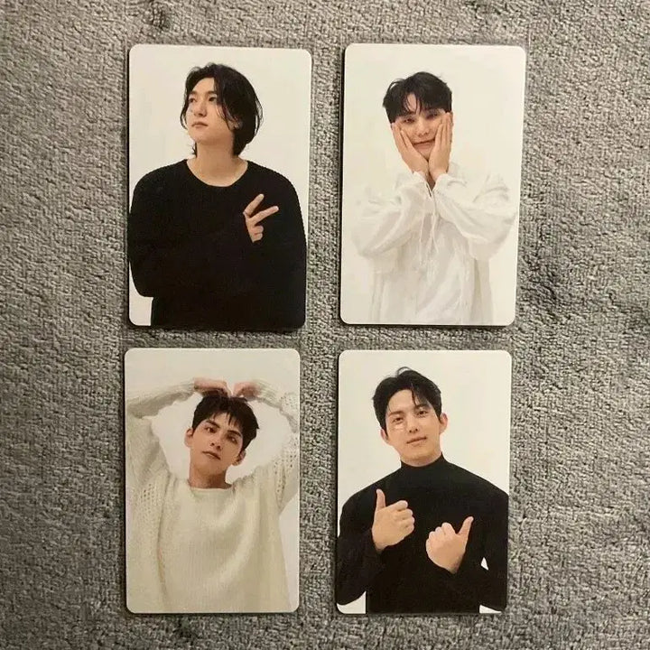 데이식스 밴드에이드 포카 일괄