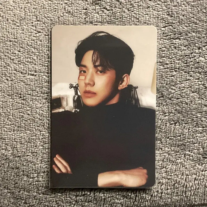 데이식스 밴드에이드 포카 일괄